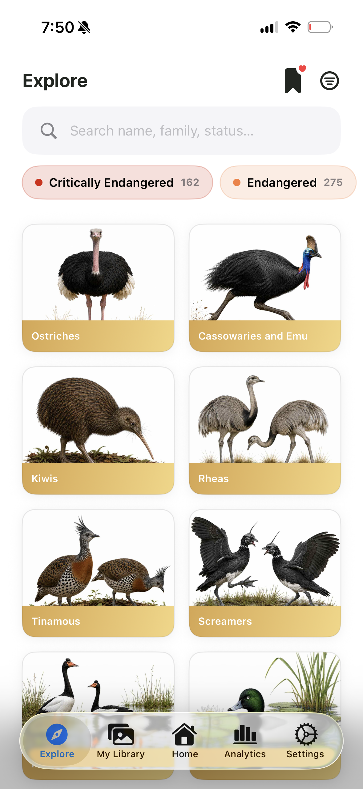Explore bird groups in the MyBird app