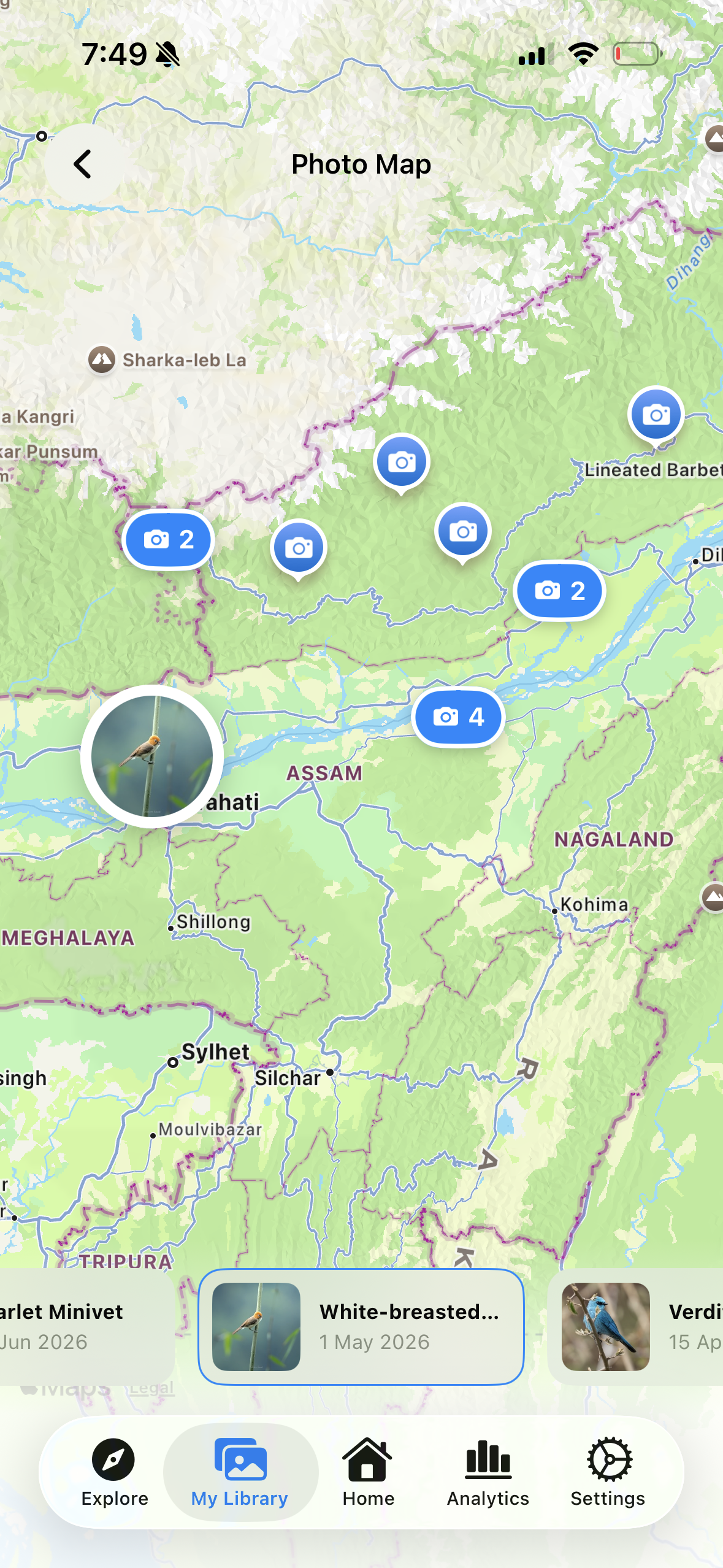 MyBird app photo map
